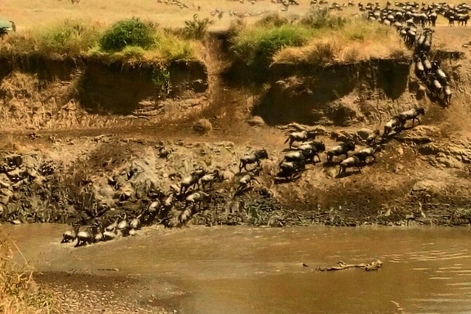 3 Days Masai Mara Budget safari Meals and accommodation included - What the $192 price does and does not cover