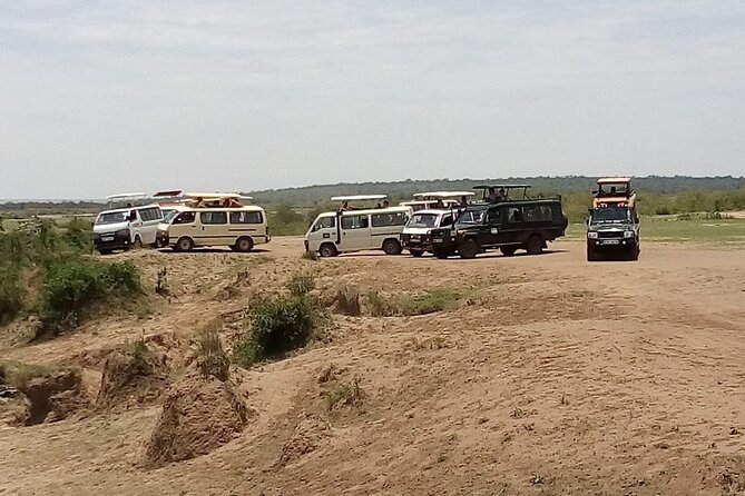 3 Days Masai Mara Budget safari Meals and accommodation included - Service, communication, and what to confirm