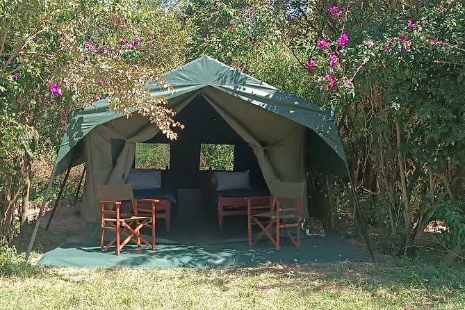3 Days Masai Mara Camping Safari - Practical tips for making the most of it