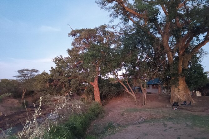 3 Days Masai Mara Camping Safari - Day two begins at 6:30 a.m.