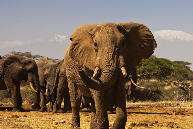 3 Days Masai Mara Encounters-Lodge Safari with Private 4X4 JEEP - Leaving Nairobi at 7 AM for the Rift Valley