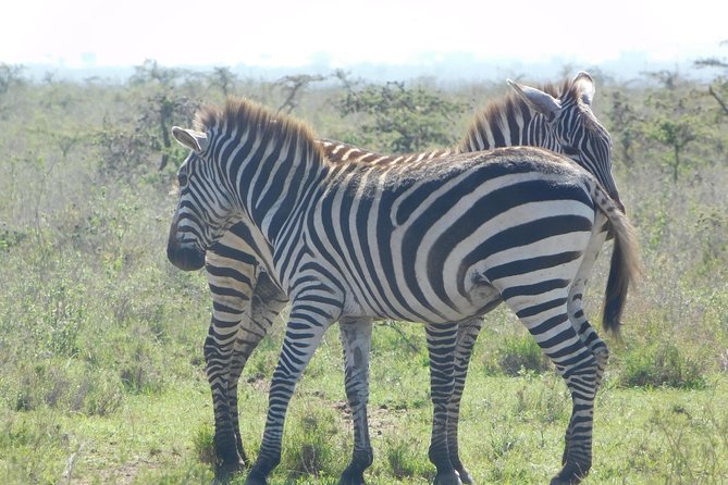 3 Days Masai Mara Flying Safari - Nairobi - What the $1,950 price really includes