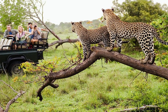 3 Days Masai Mara Flying Safari - Nairobi - Comfort, group size, and practical limits