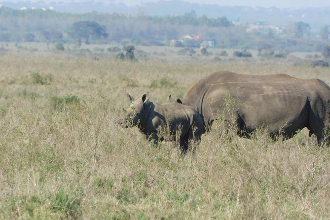 3 Days Masai Mara Flying Safari - Nairobi - Cancellation and booking details worth noting