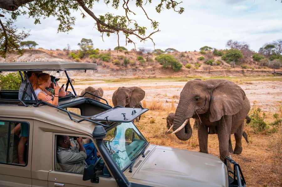 3 Days Masai Mara Gamedrive Safari on 4x4 Landcruiser Jeep - Key details before you book