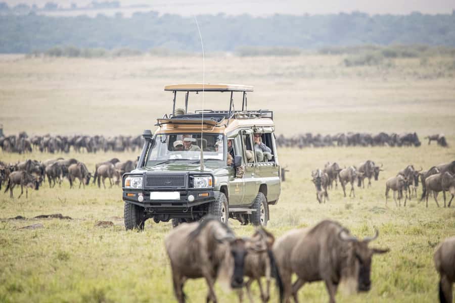 3 Days Masai Mara Gamedrive Safari on 4x4 Landcruiser Jeep - Camp comfort and daily meals