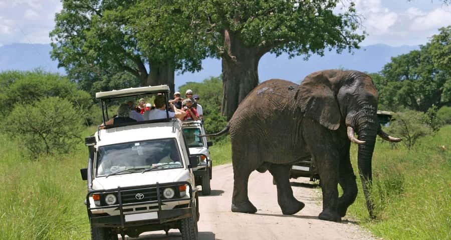 3 Days Masai Mara Gamedrive Safari on 4x4 Landcruiser Jeep - Your first afternoon in Masai Mara