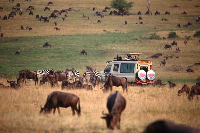 3 Days Masai Mara Group Budget safari in 4x4 Jeep Daily Tour - The main compromises to consider
