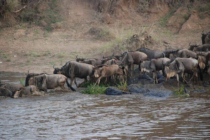 3 Days Masai Mara Group Joining Safari - Leaving Nairobi at 7:30 for the Great Rift Valley