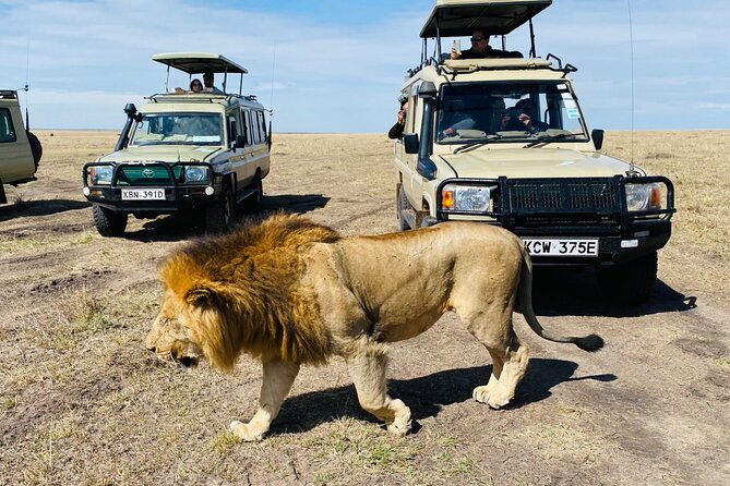 3 Days Masai Mara Jeep Safari - Who will enjoy this three-day safari