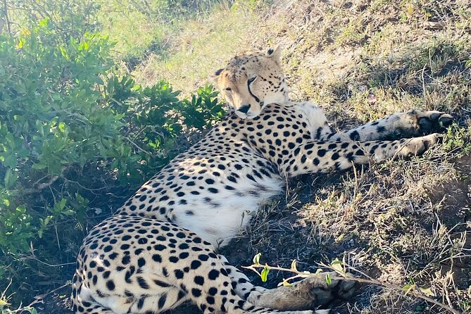 3 Days Masai Mara Jeep Safari - Booking, weather, and cancellation details