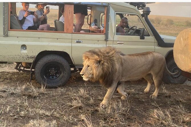 3 Days Masai Mara Jeep Safari - Eight hours among Mara River wildlife