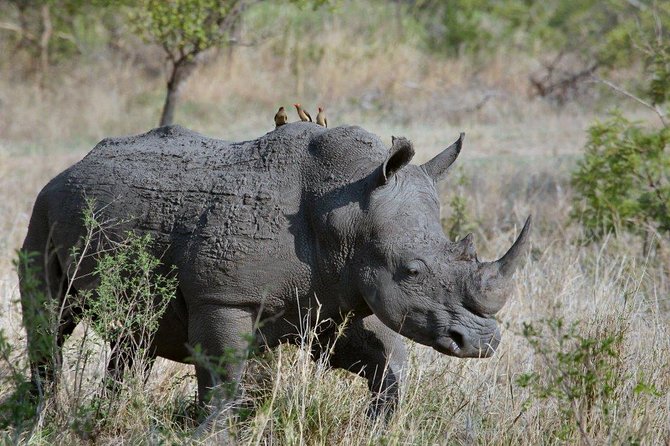 3 Days Masai Mara Joining Tour - Key points at a glance