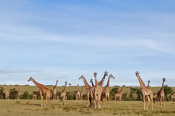 3 Days Masai Mara Kenya Big Five Private Safari - Leaving Nairobi for the Masai Mara