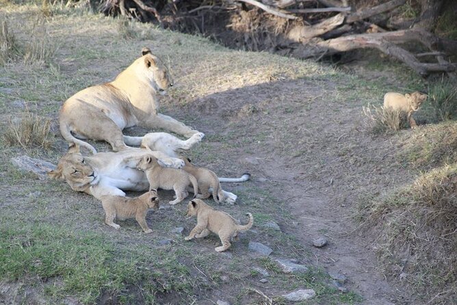 3 Days Masai Mara Kenya Big Five Private Safari - A full day around the Mara River