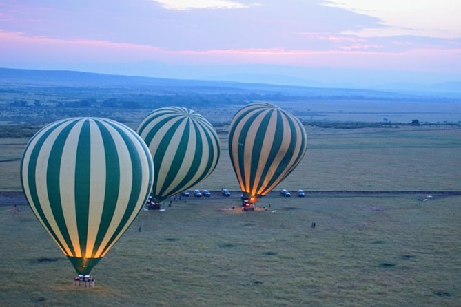 3 Days Masai Mara National Reserve Safari - Day 1: Your first afternoon game drive