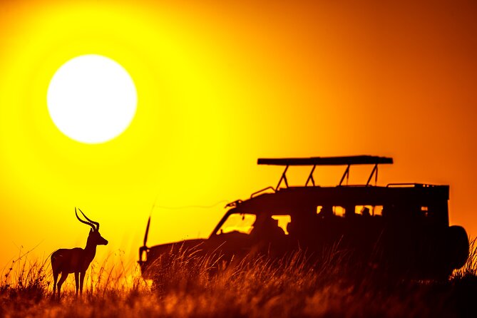 3 days Masai Mara on Private 4x4 Land Cruiser - Meals, drinks, and what the price covers