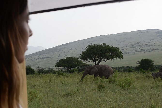 3 days Masai Mara on Private 4x4 Land Cruiser - Booking details worth checking first