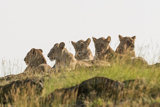 3 days Masai Mara on Private 4x4 Land Cruiser - Reaching Masai Mara National Reserve