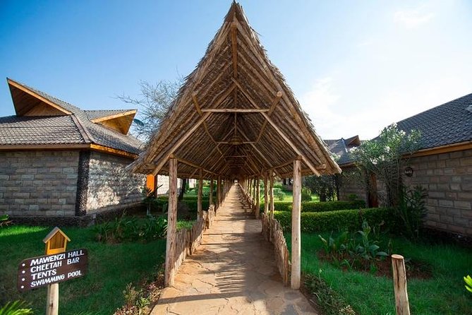 3 days Masai Mara private safari in AA lodge - Day two: the full Maasai Mara game drive