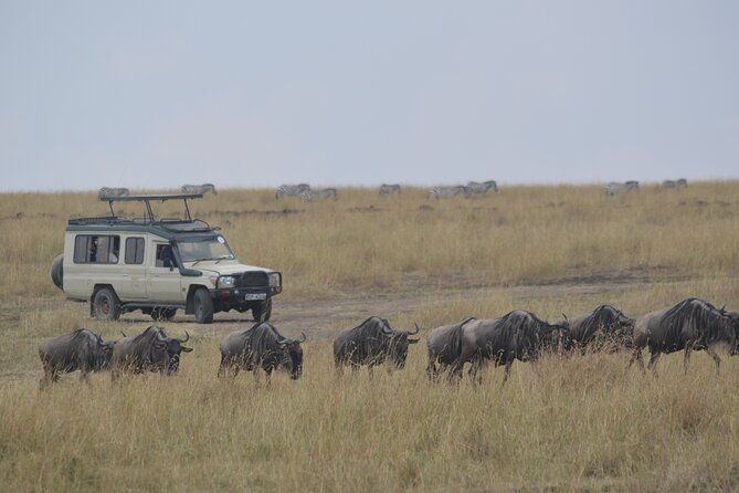 3-Days Masai Mara Rhythms Safari - Nairobi to Maasai Mara by road