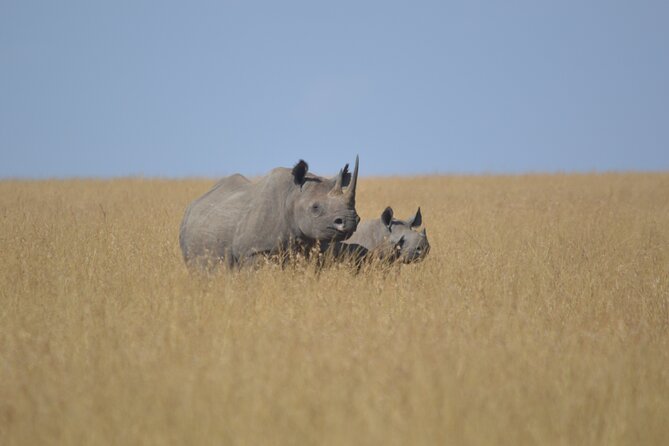 3-Days Masai Mara Rhythms Safari - Private touring and the social side