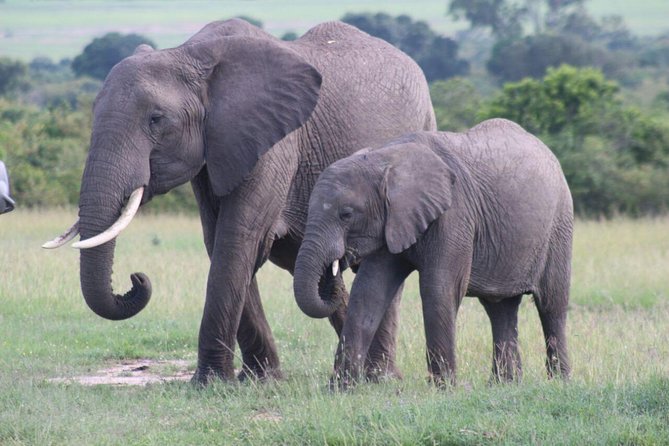 3 days masai mara safari from Nairobi - Nairobi to the Mara, with the Rift Valley in between