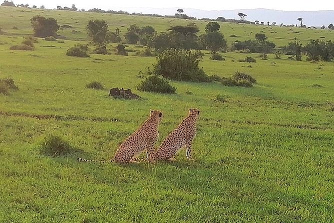 3 Days Masai Mara Safari Group Joining (Daily Departures) - The Maasai village visit and its extra cost
