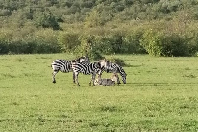 3 Days Masai Mara Safari Group Joining (Daily Departures) - The 7 a.m. Nairobi start and Great Rift Valley stop