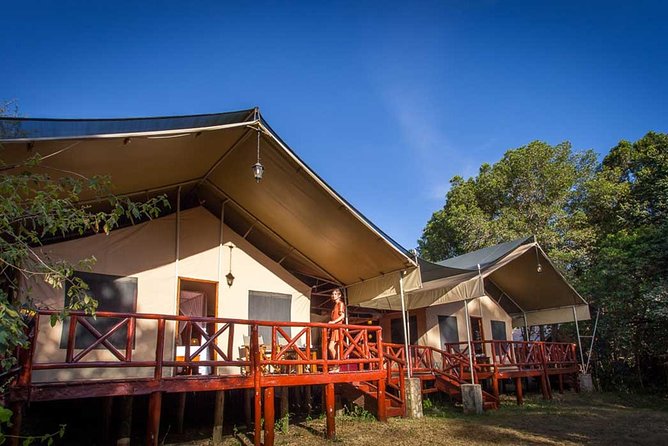 3 Days Masai Mara Wildebeest migration Budget safari - The long wildlife day, starting at 6:30 AM