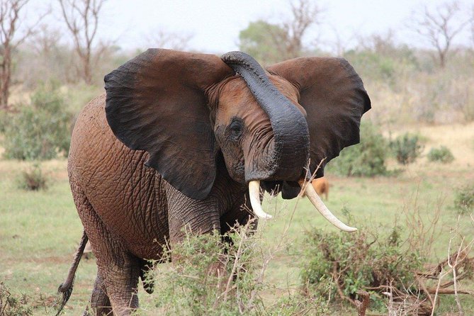 3 Days Masai Mara Wildlife private safari - Mid range budget - Is $1,400 per person good value?