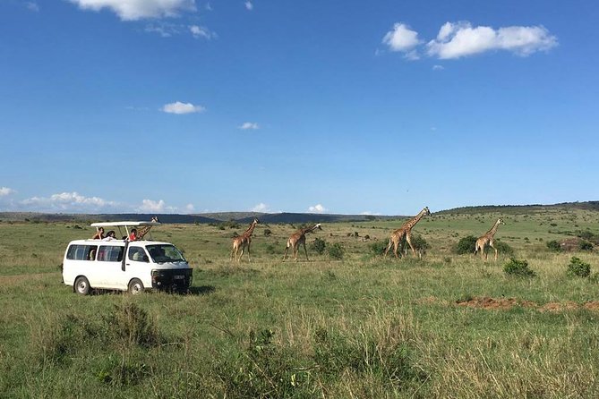 3 Days Masai Mara - The Mara River and a full day among the animals
