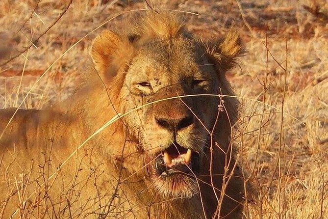 3 Days Mombasa, Taita Hills and Ngutuni Sanctuary Wildlife Safari - Day one: Taita Hills and the Saltlick waterhole