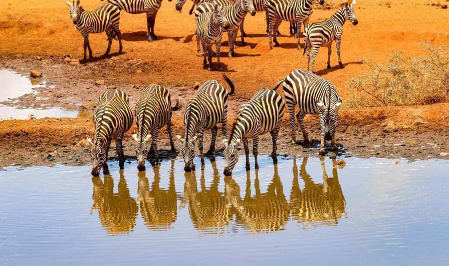 3 Days Nairobi to Amboseli to Tsavo East to Mombasa Safari - Amboseli after dark: what the first night means