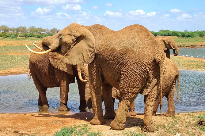 3 Days Private Safari Tsavo East and West Tour - Key Points Before You Book