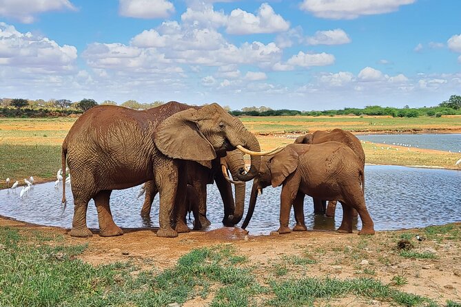3 Days Private Safari Tsavo East and West Tour - Day One: From Diani Beach to Tsavo East