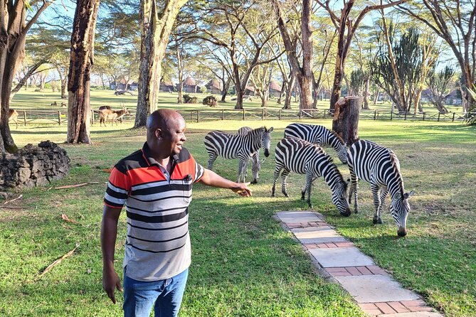 3 Days Private Safari Tsavo East and West Tour - Day Two: Tsavo West and Mzima Springs