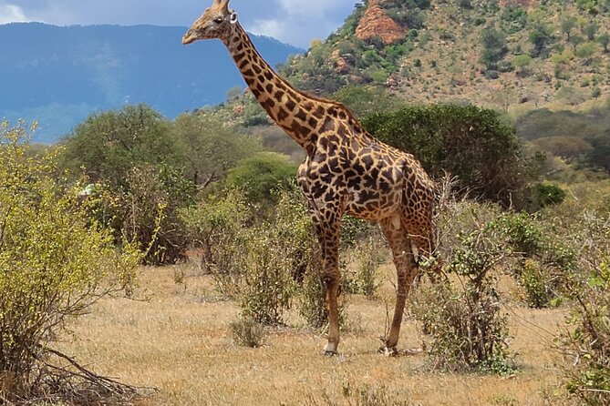 3 Days Private Safari Tsavo East and West Tour - Tsavo East: A Strong First Safari Day