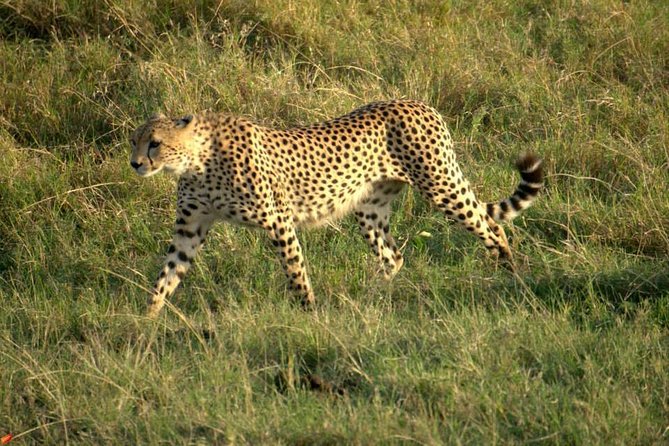 3 days Red elephant safari - Day two: from Tsavo East to Taita Hills Wildlife Sanctuary