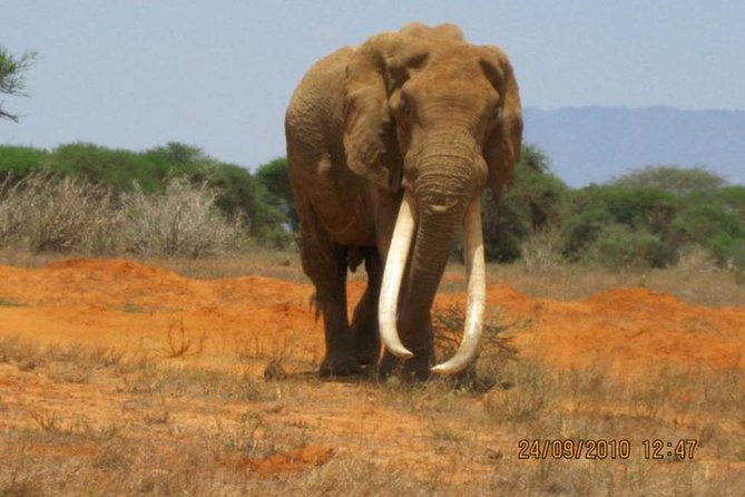 3 days Red elephant safari - What $980 per person really covers