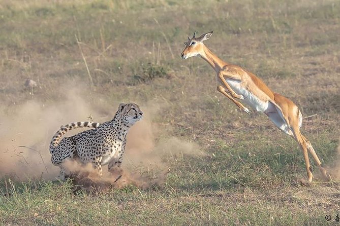 3 Days Safari in Amboseli National Park - Key things to know before you book