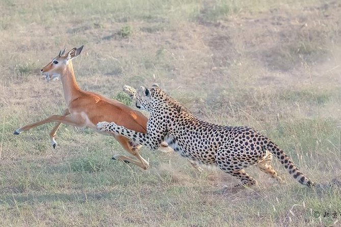 3 Days Safari in Amboseli National Park - Why Amboseli makes a strong three-day safari