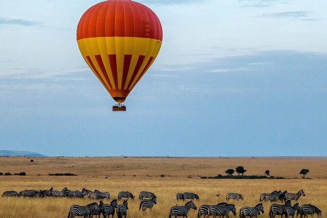 3 Days Safari Tour in Maasai Mara - What the $286 price really covers