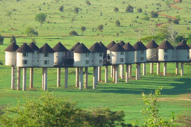 3 days safari Tsavo East and Taita hills (Saltlick lodge) - Key points to know before booking
