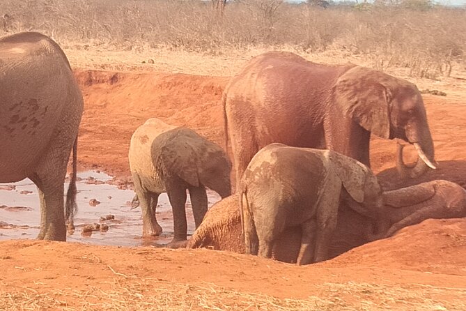 3 days safari Tsavo East and West - Day 1: From Diani to Tsavo East and Voi Safari Lodge