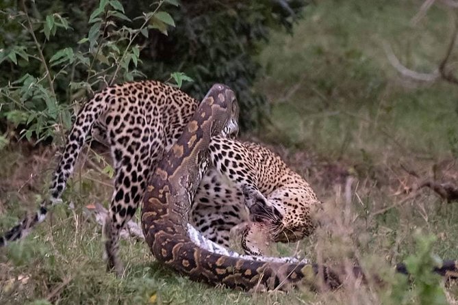 3 Days to Maasai Mara N/R. - Key points at a glance