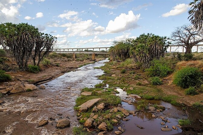 3 Days Tsavo East & Amboseli (2 Nights) - Day 3: Morning wildlife viewing and the return to Mombasa
