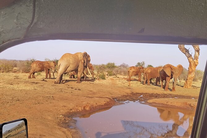 3 Days Tsavo East + Taita hills/Saltlick lodge from Malindi - Taita Hills and the lion sanctuary on day two