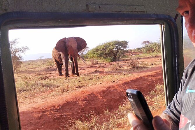3 Days Tsavo East + Taita hills/Saltlick lodge from Malindi - The final morning in Taita Hills