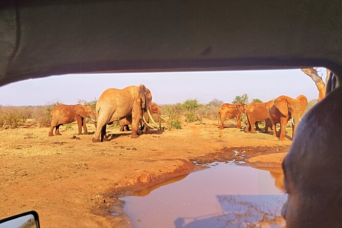 3 Days Tsavo East + Taita hills/Saltlick lodge from Malindi - Who will enjoy this safari most